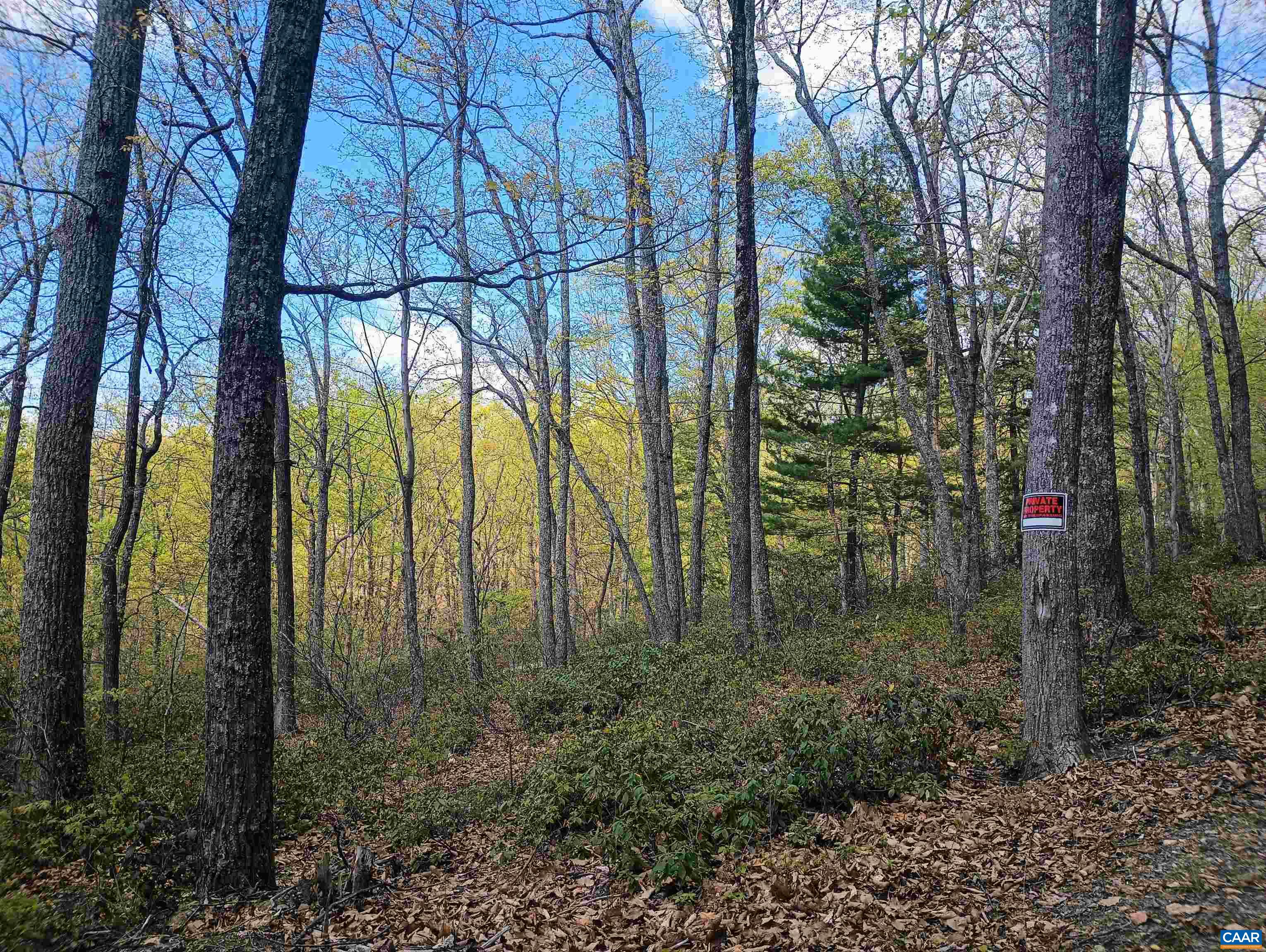 0 ROCKFISH HEIGHTS LN, NELLYSFORD, Virginia 22958, ,Land,0 ROCKFISH HEIGHTS LN,676019 MLS # 676019