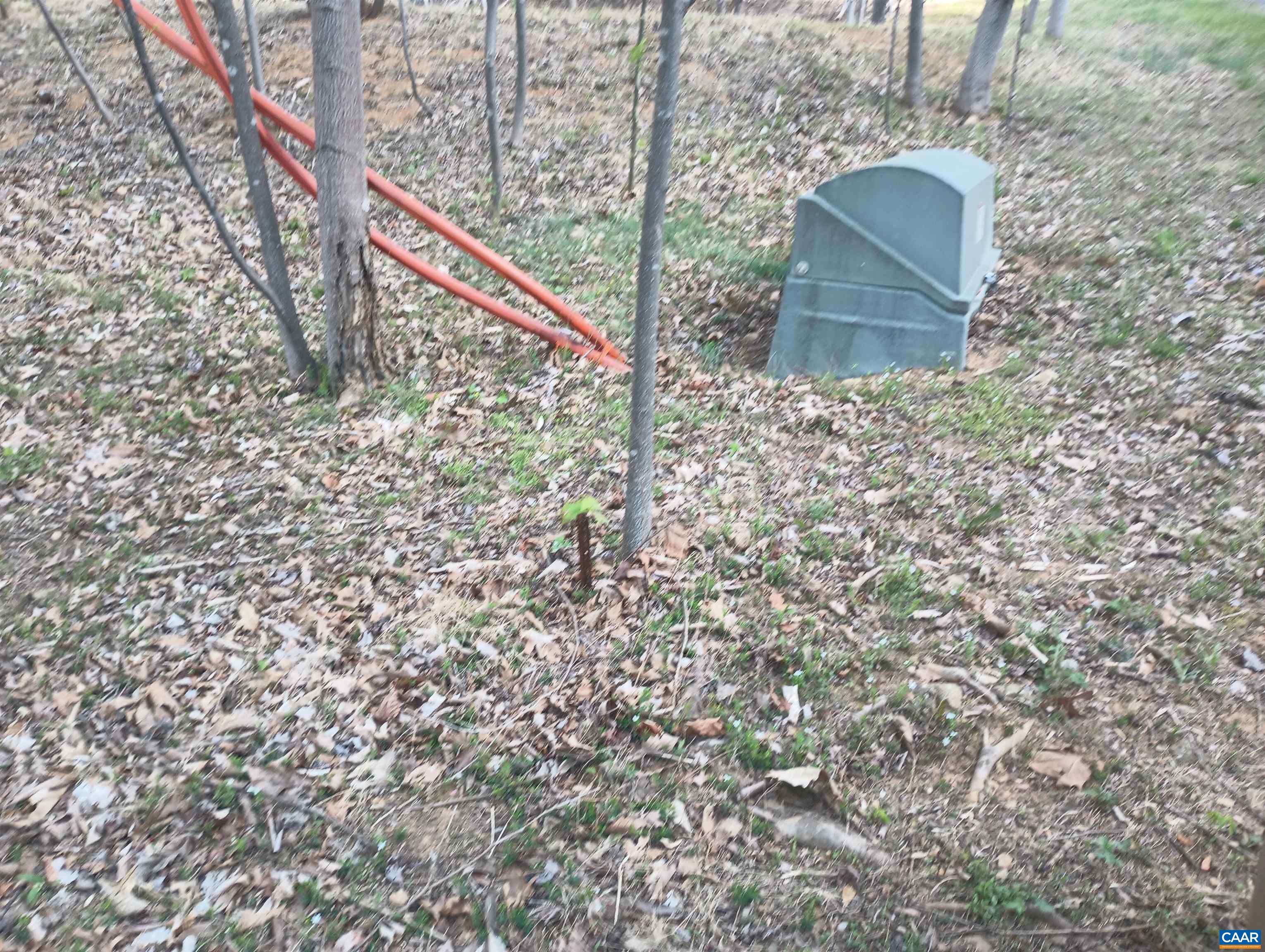 0 ROCKFISH HEIGHTS LN, NELLYSFORD, Virginia 22958, ,Land,0 ROCKFISH HEIGHTS LN,676019 MLS # 676019