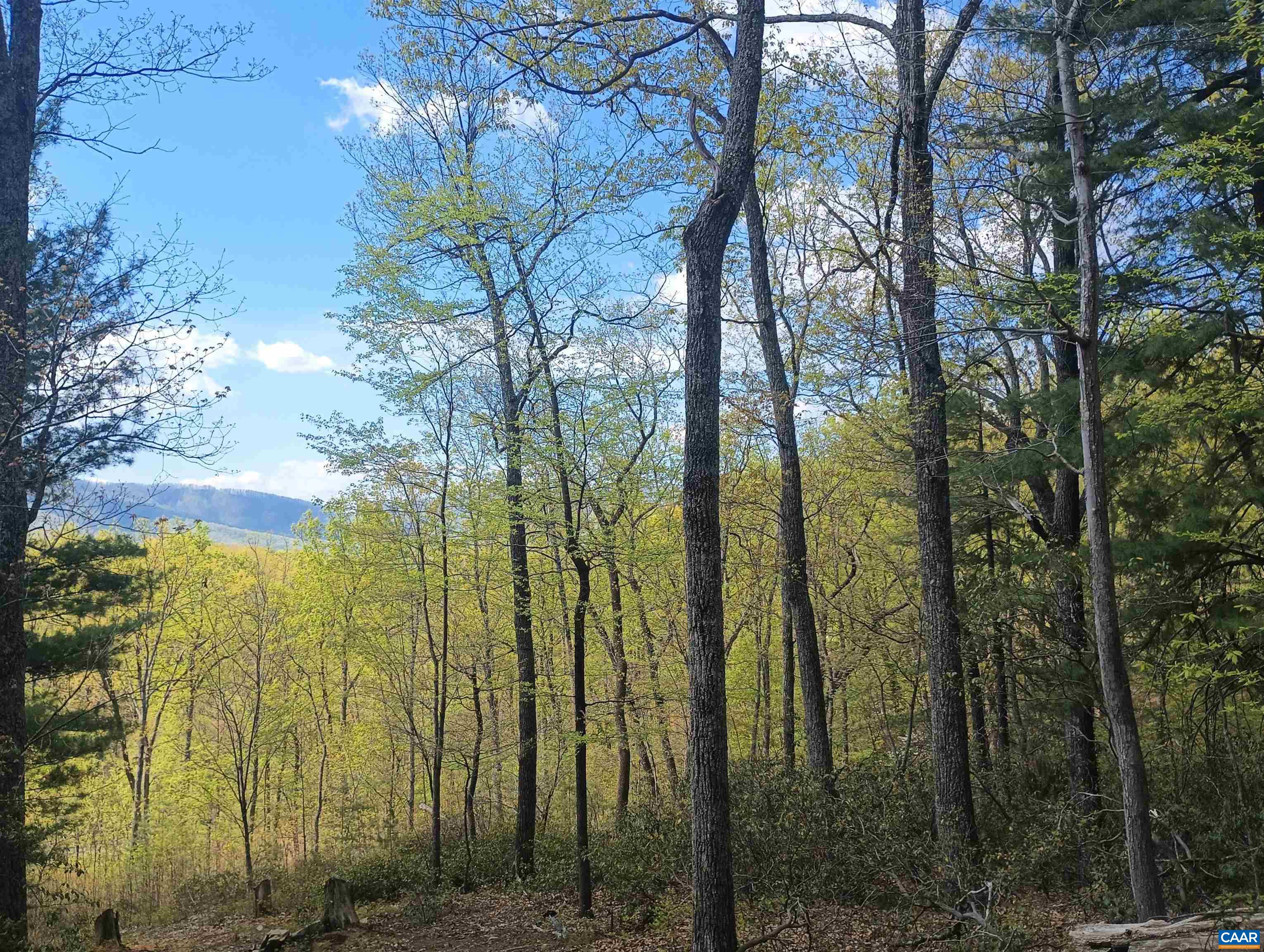 0 ROCKFISH HEIGHTS LN, NELLYSFORD, Virginia 22958, ,Land,0 ROCKFISH HEIGHTS LN,676019 MLS # 676019