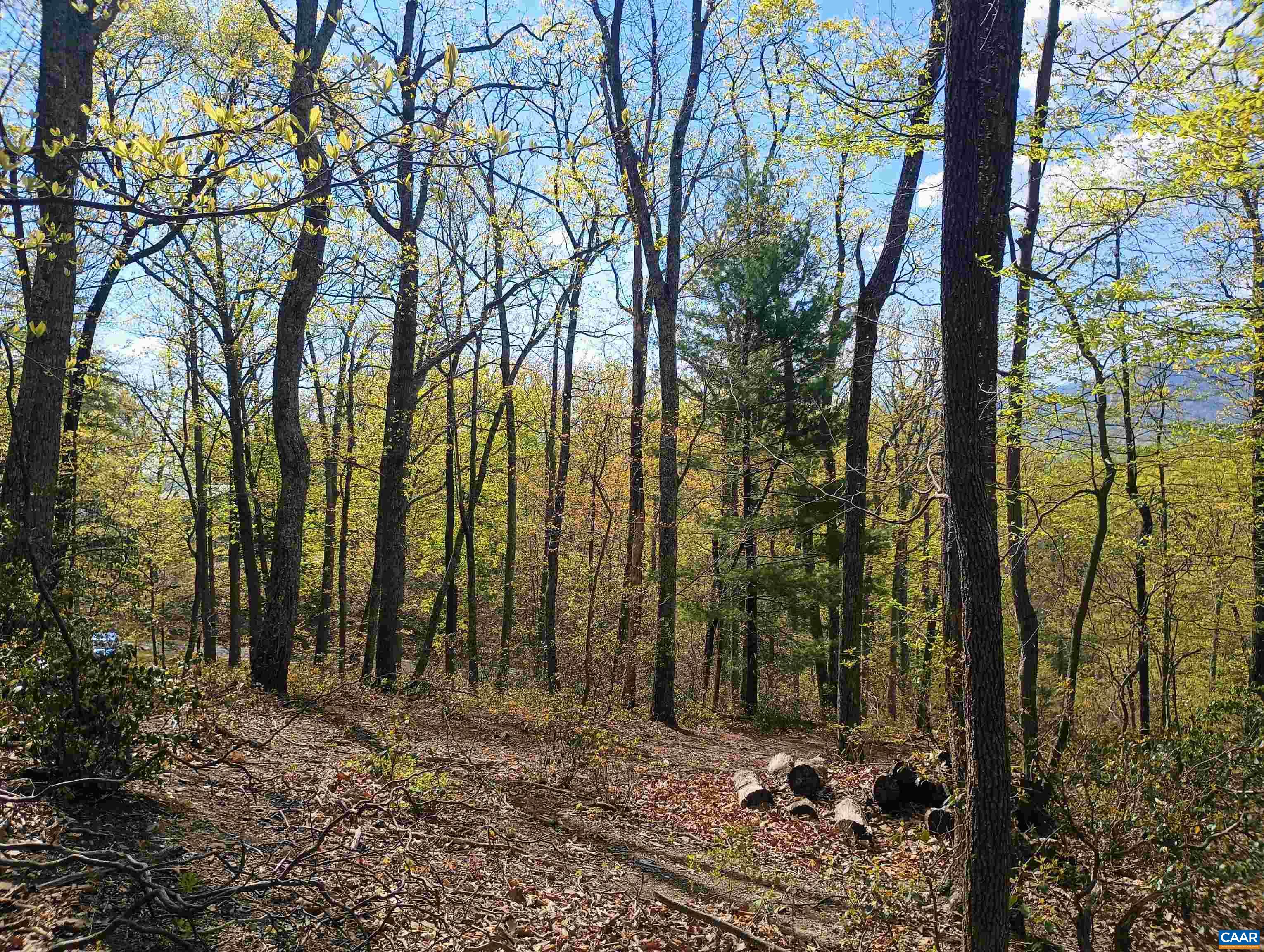 0 ROCKFISH HEIGHTS LN, NELLYSFORD, Virginia 22958, ,Land,0 ROCKFISH HEIGHTS LN,676019 MLS # 676019