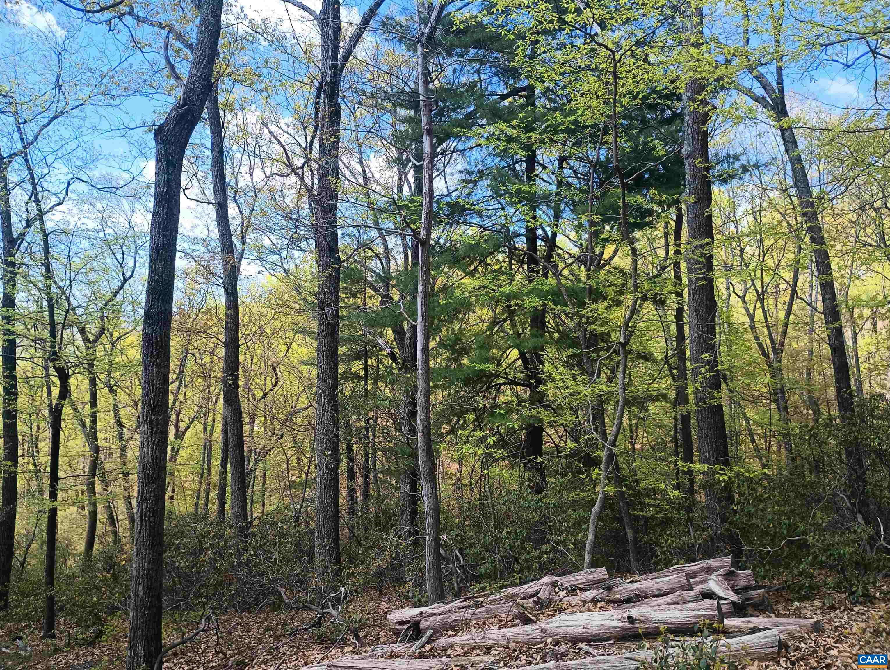 0 ROCKFISH HEIGHTS LN, NELLYSFORD, Virginia 22958, ,Land,0 ROCKFISH HEIGHTS LN,676019 MLS # 676019