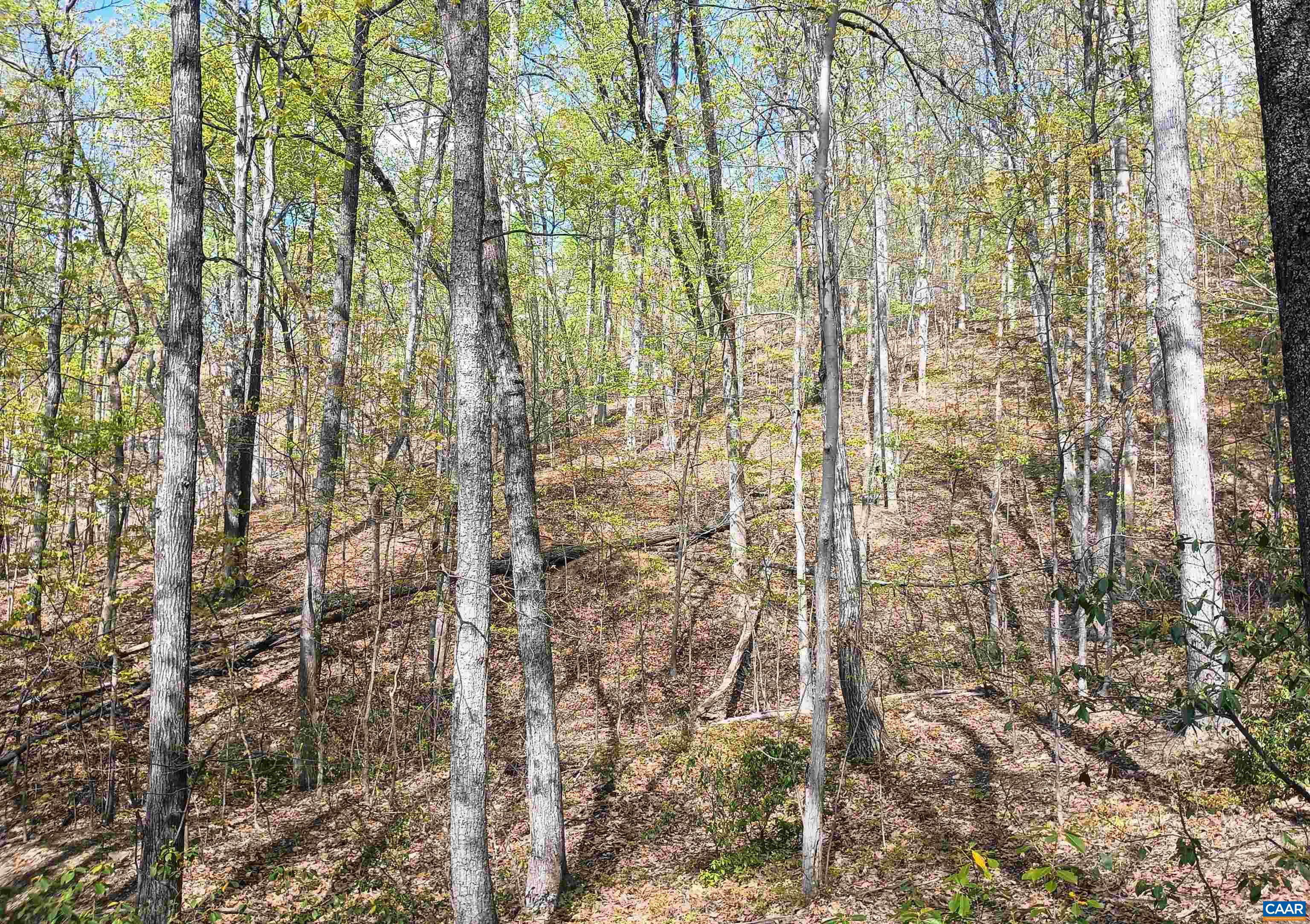 0 ROCKFISH HEIGHTS LN, NELLYSFORD, Virginia 22958, ,Land,0 ROCKFISH HEIGHTS LN,676019 MLS # 676019