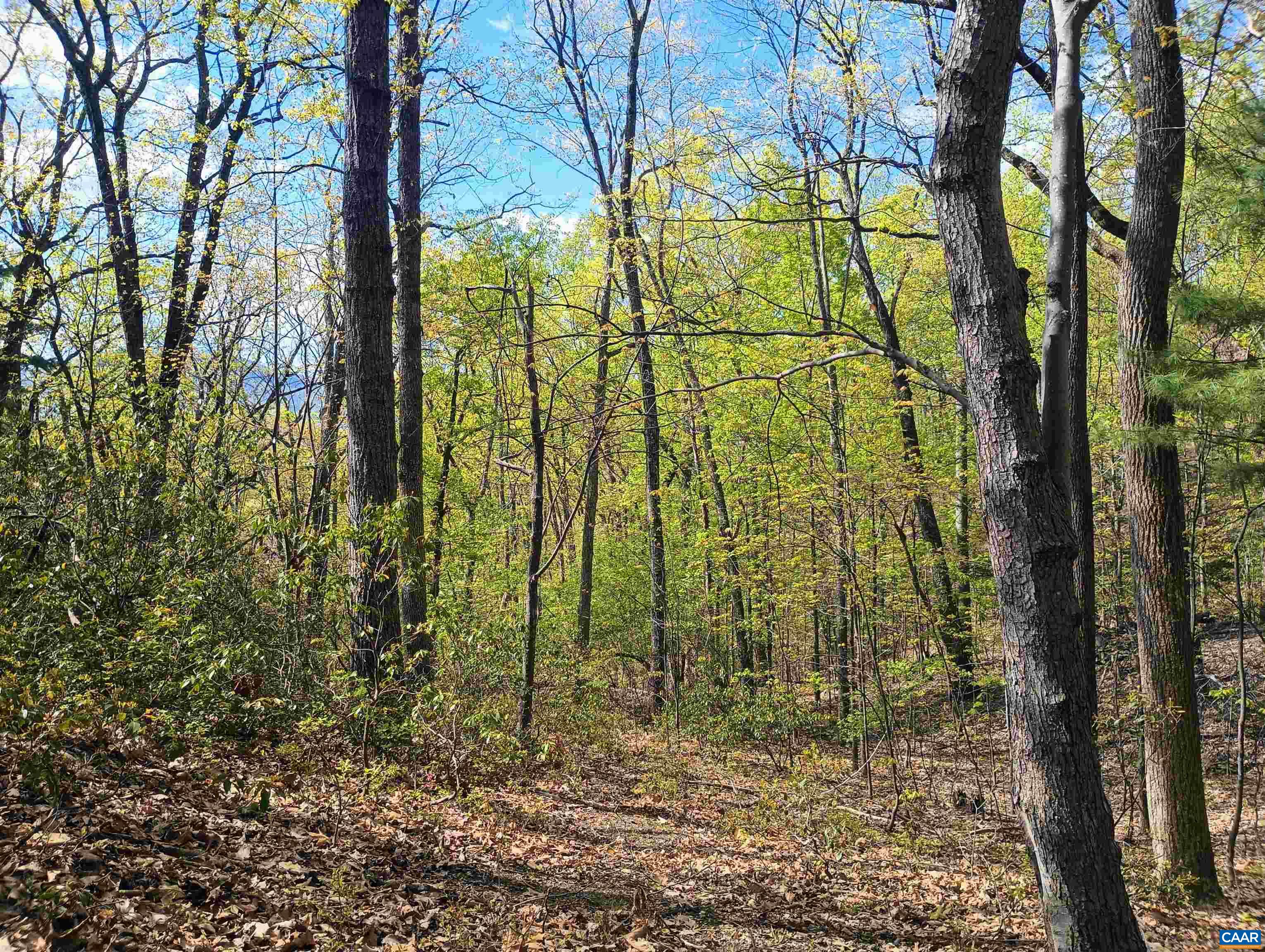 0 ROCKFISH HEIGHTS LN, NELLYSFORD, Virginia 22958, ,Land,0 ROCKFISH HEIGHTS LN,676019 MLS # 676019