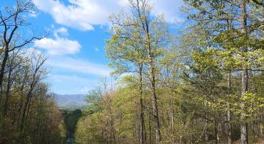 0 ROCKFISH HEIGHTS LN, NELLYSFORD, Virginia 22958, ,Land,0 ROCKFISH HEIGHTS LN,676019 MLS # 676019