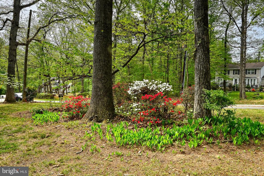 12365 RANDLE LN, CULPEPER, Virginia 22701, 4 Bedrooms Bedrooms, ,2 BathroomsBathrooms,Residential,12365 RANDLE LN,VACU2013314 MLS # VACU2013314