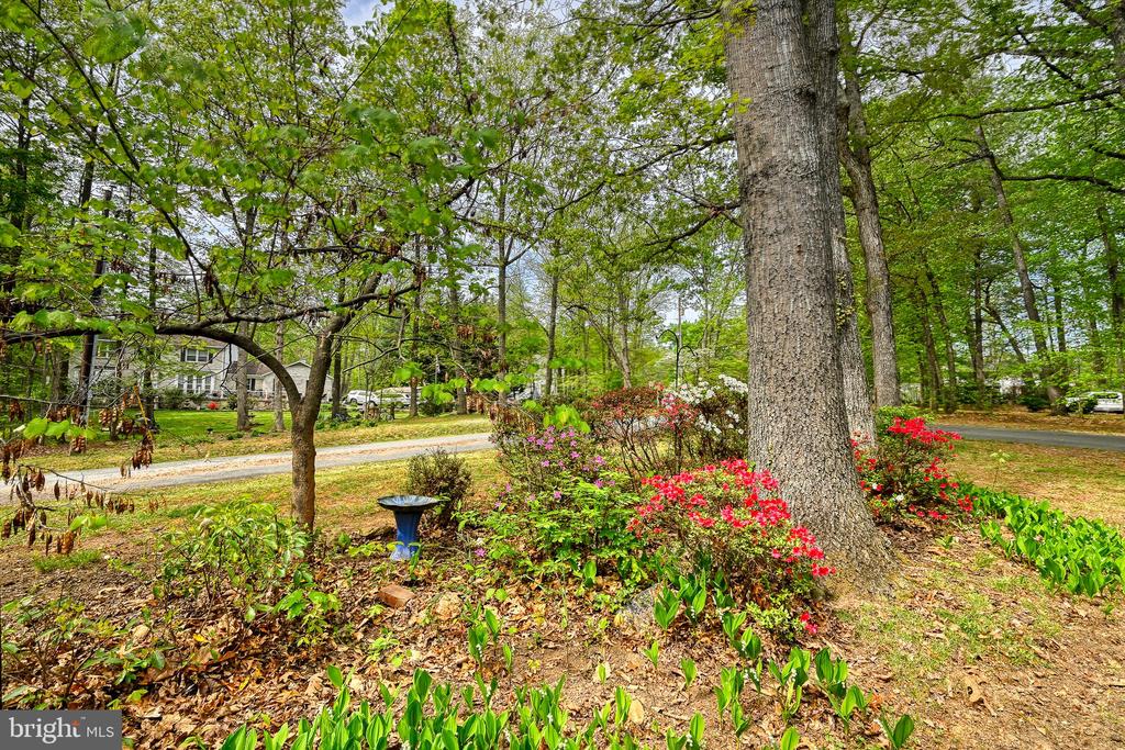 12365 RANDLE LN, CULPEPER, Virginia 22701, 4 Bedrooms Bedrooms, ,2 BathroomsBathrooms,Residential,12365 RANDLE LN,VACU2013314 MLS # VACU2013314