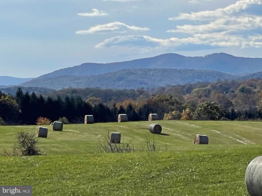 9078 MAIDSTONE RD, DELAPLANE, Virginia, 2 Bedrooms Bedrooms, ,1 BathroomBathrooms,Residential,9078 MAIDSTONE RD,VAFQ2021600 MLS # VAFQ2021600