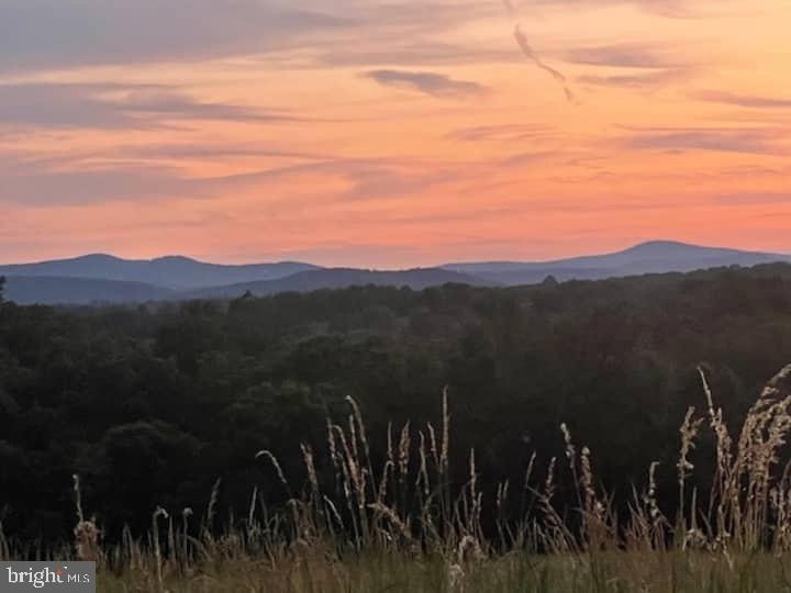 9078 MAIDSTONE RD, DELAPLANE, Virginia, 2 Bedrooms Bedrooms, ,1 BathroomBathrooms,Residential,9078 MAIDSTONE RD,VAFQ2021600 MLS # VAFQ2021600