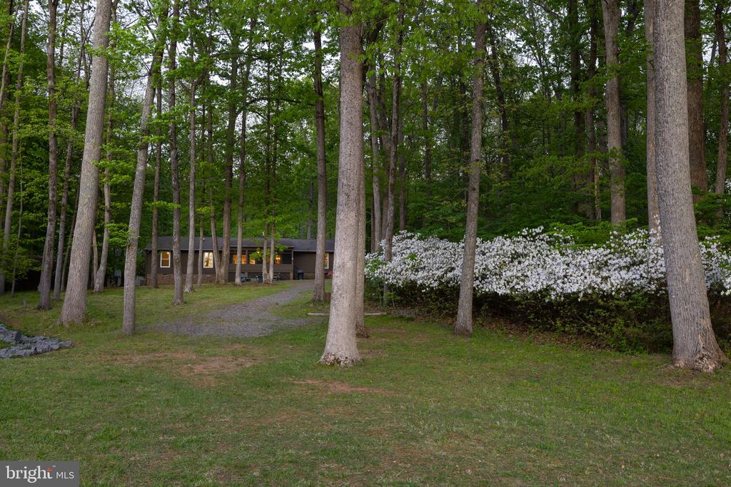 154 BECKY CT, BUMPASS, Virginia 23024, 3 Bedrooms Bedrooms, ,2 BathroomsBathrooms,Residential,154 BECKY CT,VALA2009676 MLS # VALA2009676