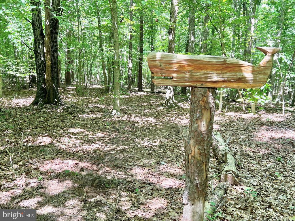 4601 S. BLUE RIDGE TURNPIKE, ROCHELLE, Virginia 22738, 2 Bedrooms Bedrooms, ,2 BathroomsBathrooms,Residential,4601 S. BLUE RIDGE TURNPIKE,VAMA2002700 MLS # VAMA2002700