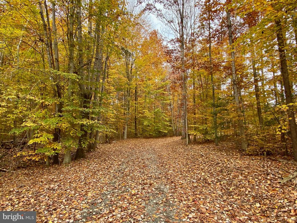 4601 S. BLUE RIDGE TURNPIKE, ROCHELLE, Virginia 22738, 2 Bedrooms Bedrooms, ,2 BathroomsBathrooms,Residential,4601 S. BLUE RIDGE TURNPIKE,VAMA2002700 MLS # VAMA2002700