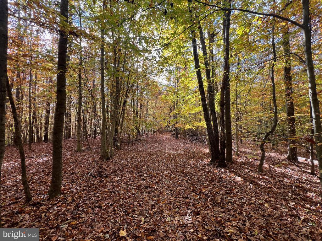 4601 S. BLUE RIDGE TURNPIKE, ROCHELLE, Virginia 22738, 2 Bedrooms Bedrooms, ,2 BathroomsBathrooms,Residential,4601 S. BLUE RIDGE TURNPIKE,VAMA2002700 MLS # VAMA2002700