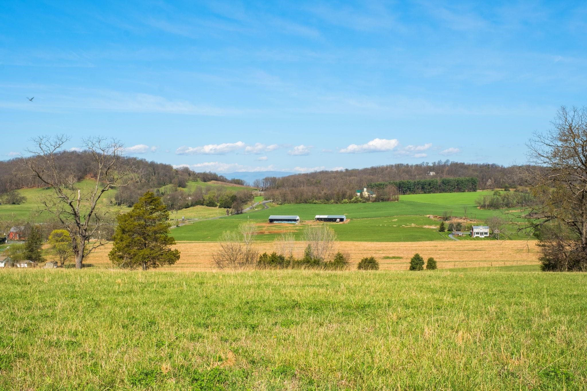 4263 FRIEDENS CHURCH RD, MOUNT CRAWFORD, Virginia 22841, 3 Bedrooms Bedrooms, ,2 BathroomsBathrooms,Residential,4263 FRIEDENS CHURCH RD,676005 MLS # 676005