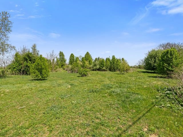 7149 JOSEPH FUNK LN, SINGERS GLEN, Virginia 22850, 4 Bedrooms Bedrooms, ,3 BathroomsBathrooms,Residential,7149 JOSEPH FUNK LN,676022 MLS # 676022