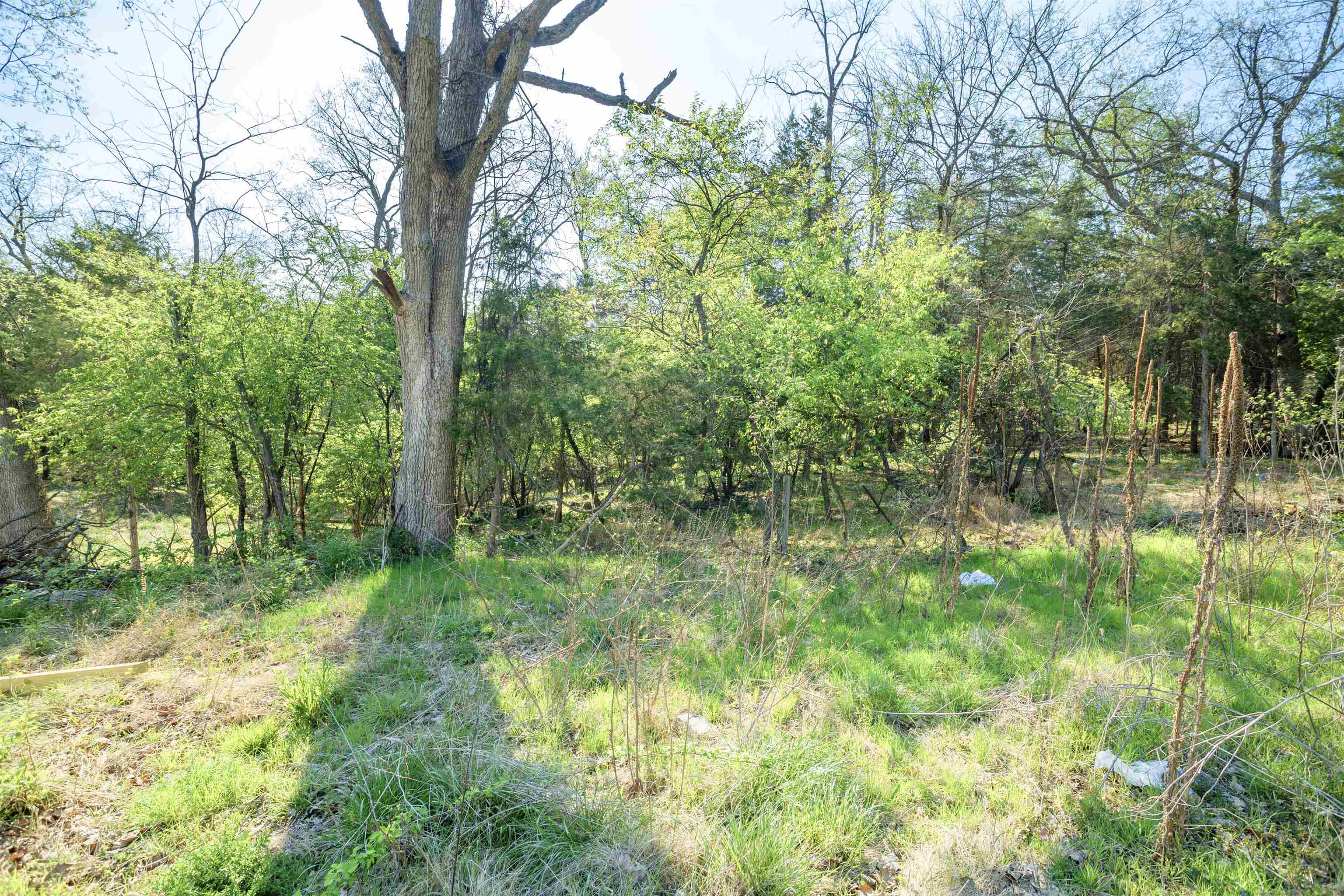 1641 SMITHLAND RD, HARRISONBURG, Virginia 22802, 3 Bedrooms Bedrooms, ,2 BathroomsBathrooms,Residential,1641 SMITHLAND RD,675569 MLS # 675569