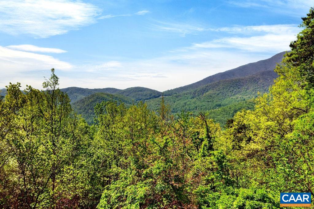 1059 BRYANT MOUNTAIN RD, ROSELAND, Virginia 22967, 3 Bedrooms Bedrooms, ,3 BathroomsBathrooms,Residential,1059 BRYANT MOUNTAIN RD,676025 MLS # 676025