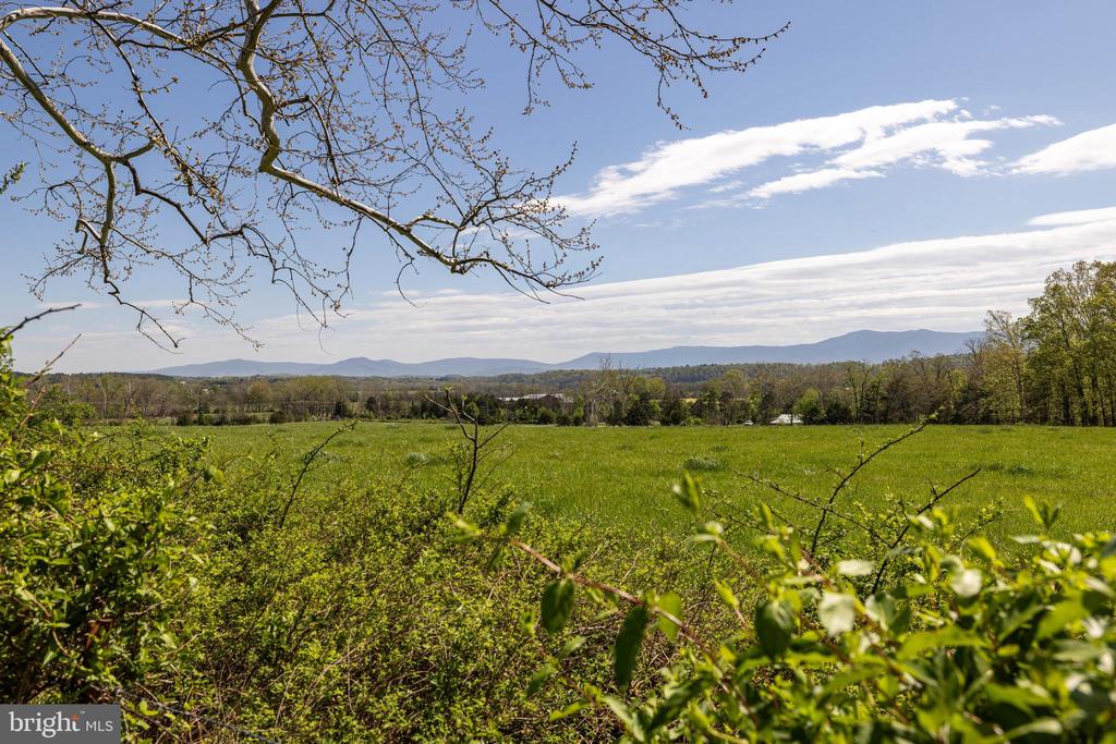 0 MEADOWVIEW DR, LURAY, Virginia 22835, ,Land,0 MEADOWVIEW DR,VAPA2006276 MLS # VAPA2006276