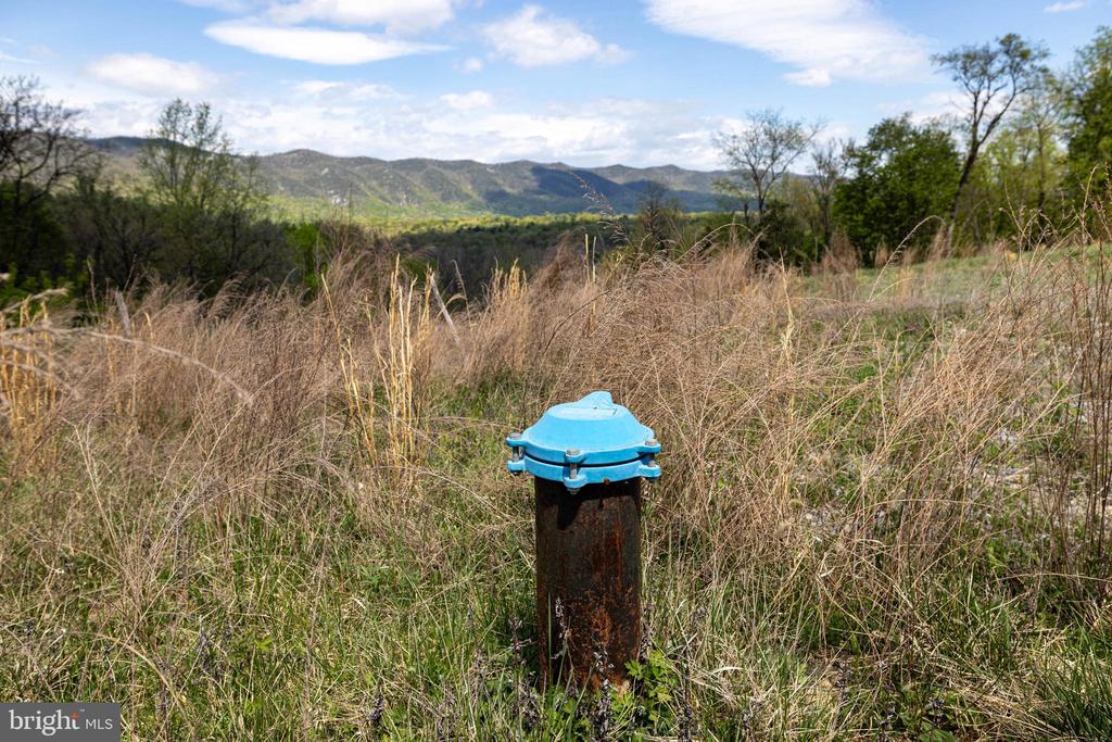 400 GOOD MILL RD, RILEYVILLE, Virginia 22650, ,Land,400 GOOD MILL RD,VAPA2006272 MLS # VAPA2006272