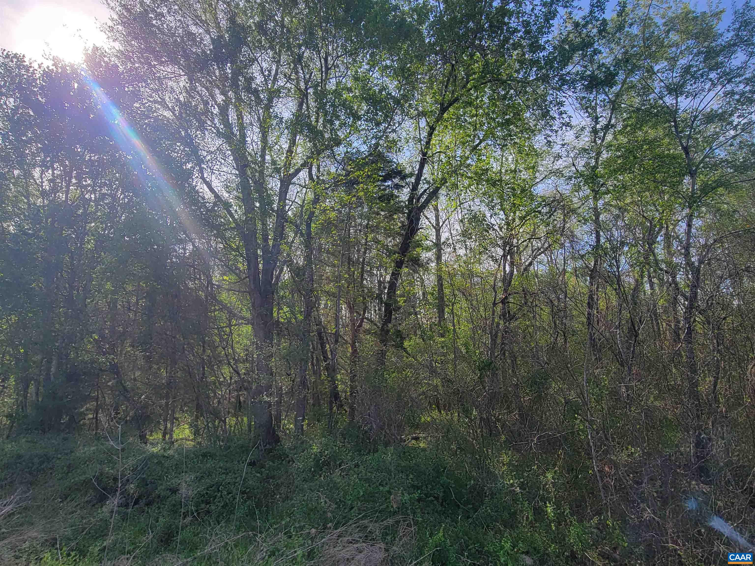 13.3 AC GLADE RD, SCHUYLER, Virginia 22969, ,Land,13.3 AC GLADE RD,676039 MLS # 676039