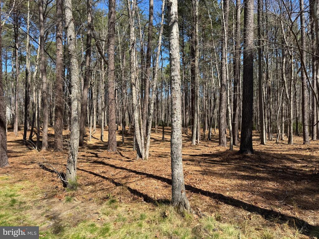 12001 HONOR BRIDGE FARM DR, SPOTSYLVANIA, Virginia 22551, 7 Bedrooms Bedrooms, ,5 BathroomsBathrooms,Residential,12001 HONOR BRIDGE FARM DR,VASP2041126 MLS # VASP2041126