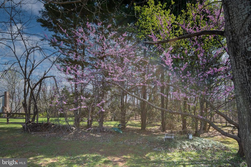 10752 BRIDLEREIN COURT, SPOTSYLVANIA, Virginia 22553, 4 Bedrooms Bedrooms, ,2 BathroomsBathrooms,Residential,10752 BRIDLEREIN COURT,VASP2040532 MLS # VASP2040532