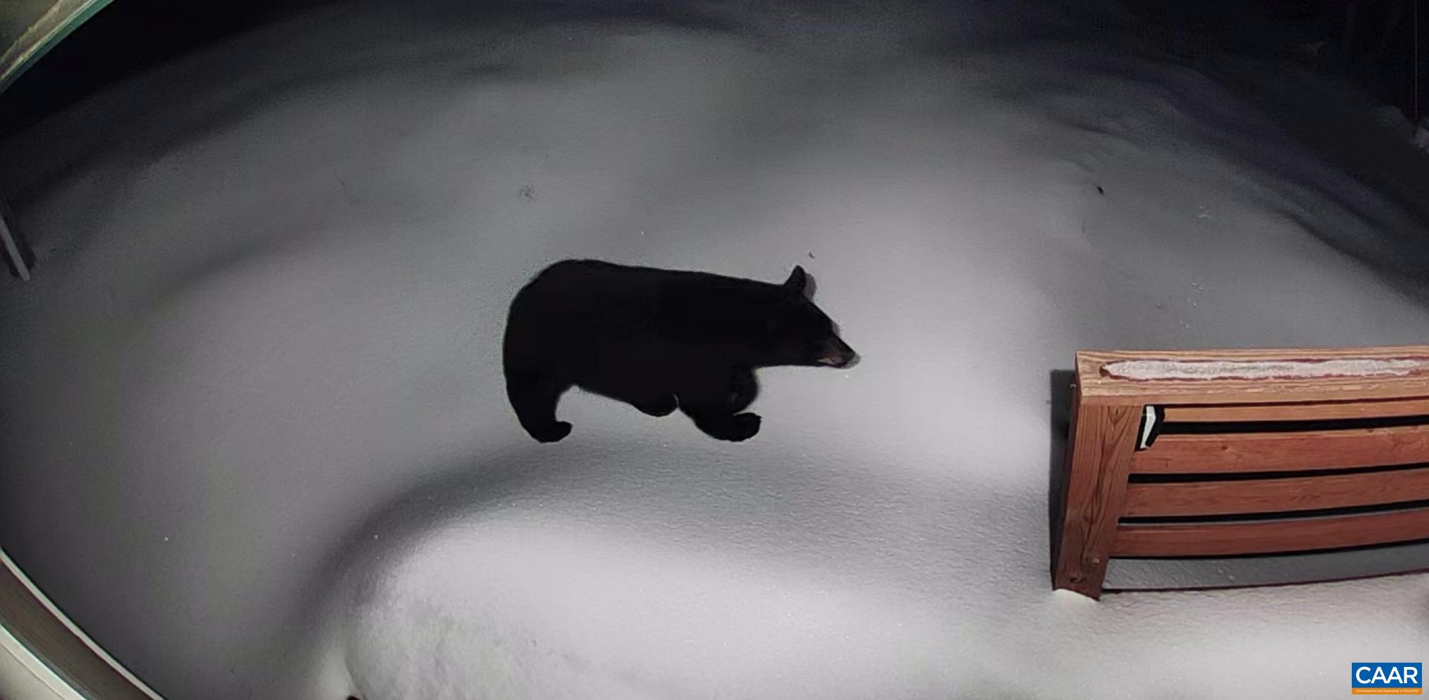 1494 SPRUCE CREEK LN, NELLYSFORD, Virginia 22958, 1 Bedroom Bedrooms, ,1 BathroomBathrooms,Residential,1494 SPRUCE CREEK LN,674252 MLS # 674252