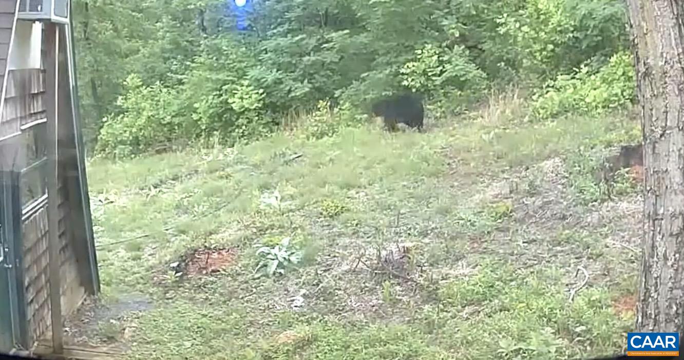 1494 SPRUCE CREEK LN, NELLYSFORD, Virginia 22958, 1 Bedroom Bedrooms, ,1 BathroomBathrooms,Residential,1494 SPRUCE CREEK LN,674252 MLS # 674252