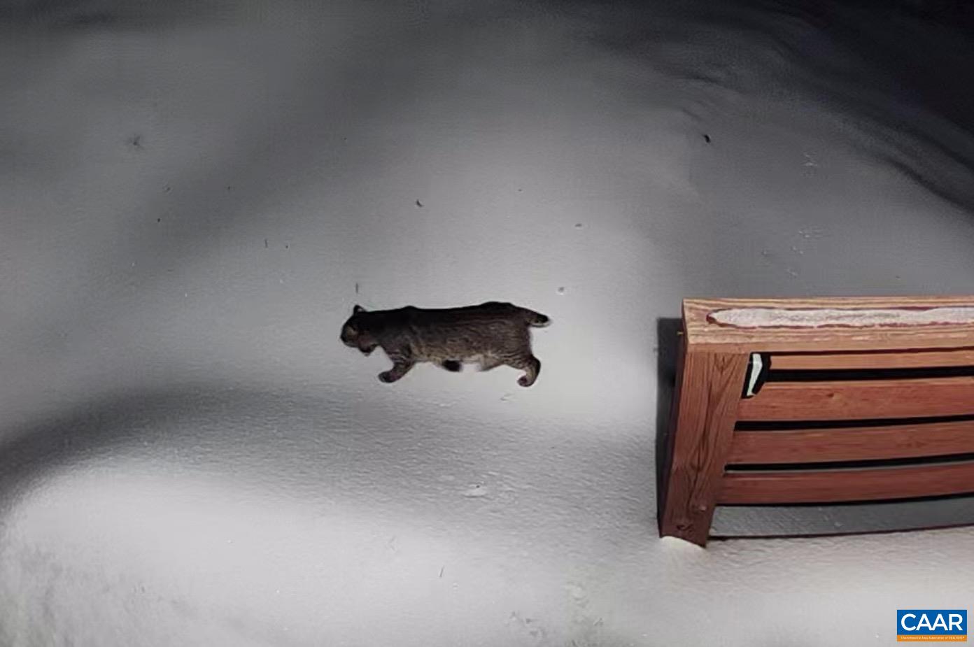 1494 SPRUCE CREEK LN, NELLYSFORD, Virginia 22958, 1 Bedroom Bedrooms, ,1 BathroomBathrooms,Residential,1494 SPRUCE CREEK LN,674252 MLS # 674252