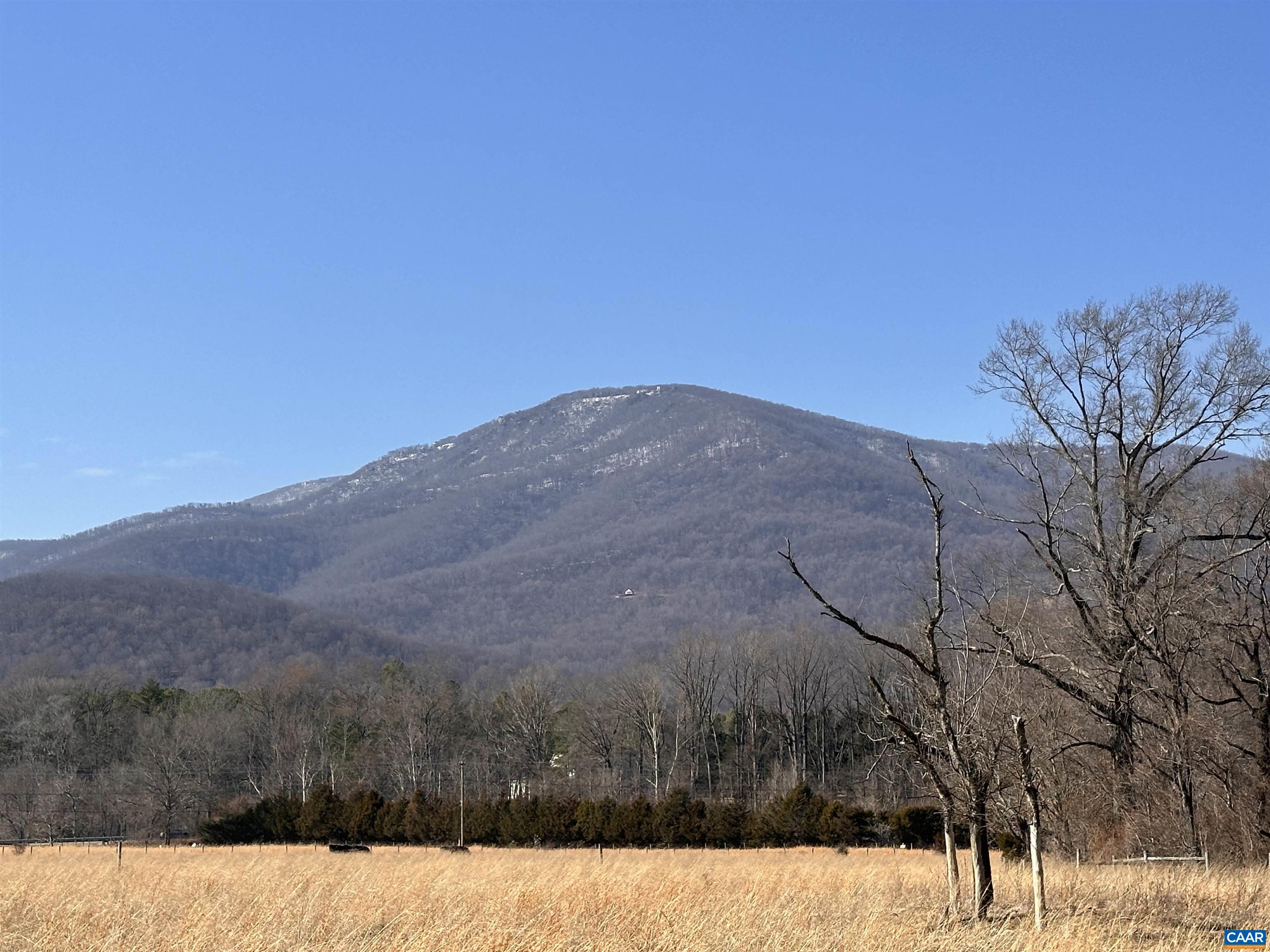 looking up from Spruce Creek Park walking trail