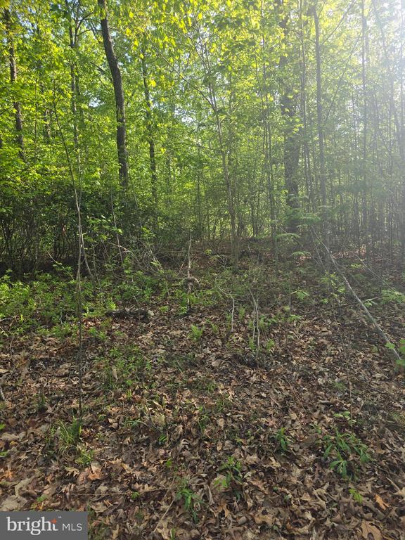 FIREHOUSE DR, LOUISA, Virginia 23093, ,Land,FIREHOUSE DR,VALA2009702 MLS # VALA2009702
