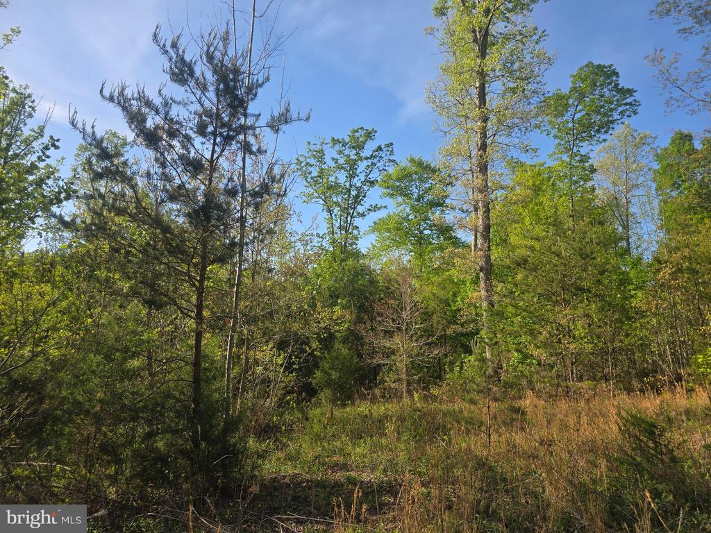 FIREHOUSE DR, LOUISA, Virginia 23093, ,Land,FIREHOUSE DR,VALA2009702 MLS # VALA2009702