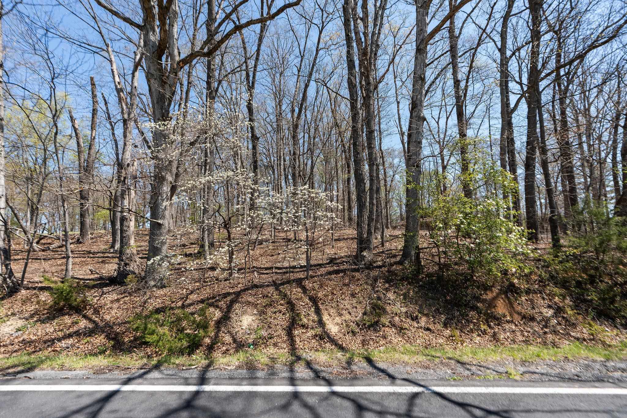 0.67 Acres SHUTTERLEE MILL RD, STAUNTON, Virginia 24401, ,Land,0.67 Acres SHUTTERLEE MILL RD,675708 MLS # 675708