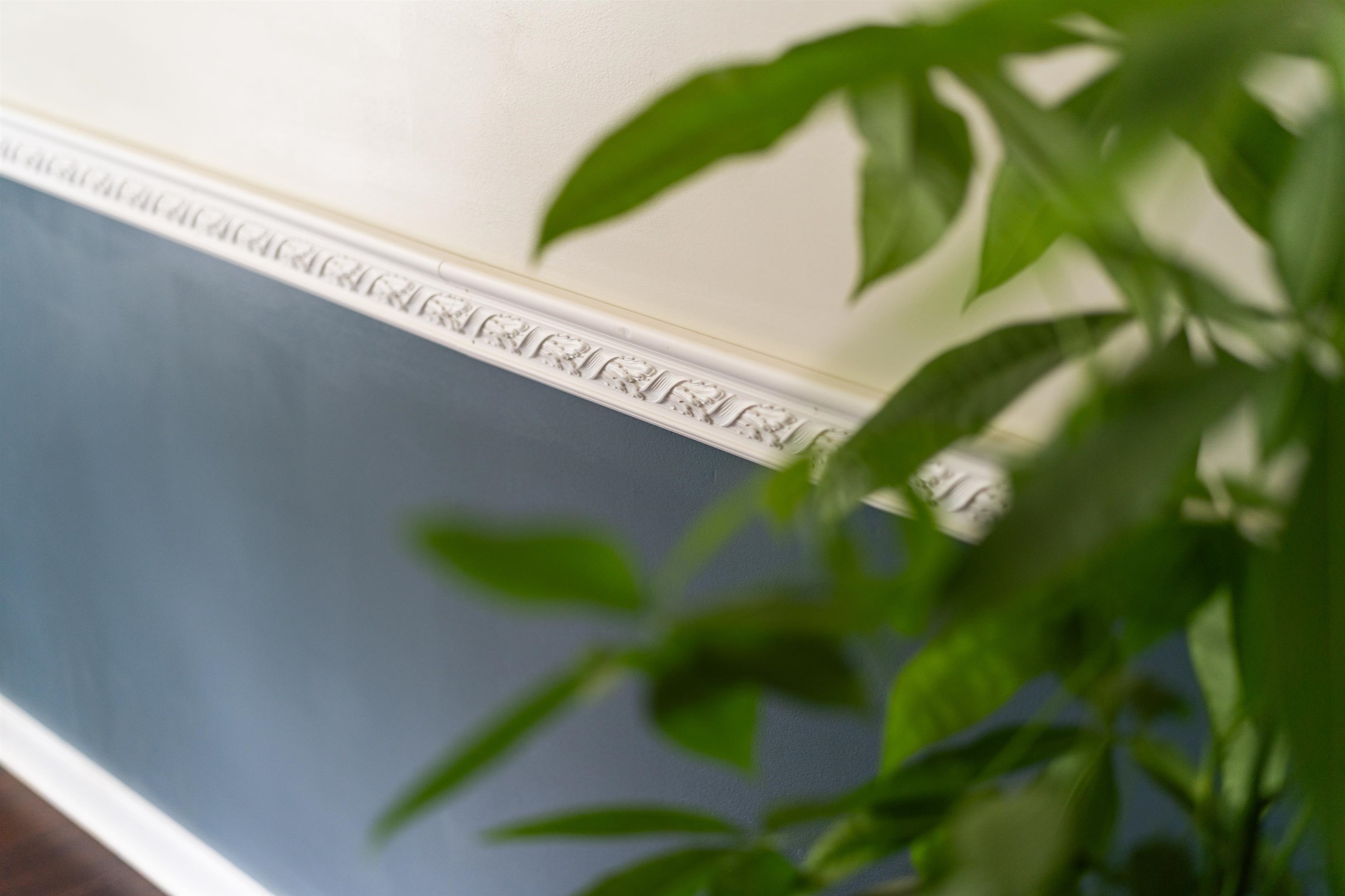 10 ZEPHYR RD, PALMYRA, Virginia 22963, 3 Bedrooms Bedrooms, ,2 BathroomsBathrooms,Residential,10 ZEPHYR RD,675911 MLS # 675911