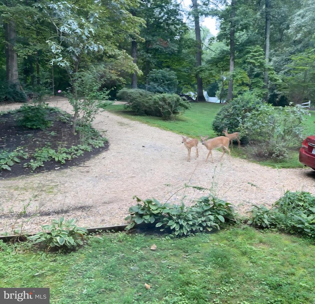 10221 HELENA TER, SPOTSYLVANIA, Virginia 22553, 3 Bedrooms Bedrooms, ,3 BathroomsBathrooms,Residential,10221 HELENA TER,VASP2039186 MLS # VASP2039186