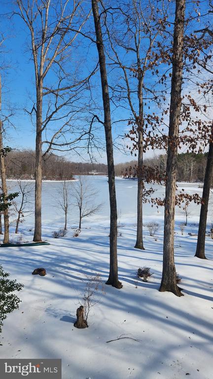 10221 HELENA TER, SPOTSYLVANIA, Virginia 22553, 3 Bedrooms Bedrooms, ,3 BathroomsBathrooms,Residential,10221 HELENA TER,VASP2039186 MLS # VASP2039186