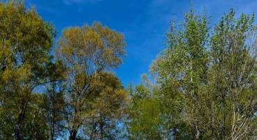 10111 SHARON SPRINGS DR, FREDERICKSBURG, Virginia 22408, 3 Bedrooms Bedrooms, ,2 BathroomsBathrooms,Residential,10111 SHARON SPRINGS DR,VASP2039544 MLS # VASP2039544