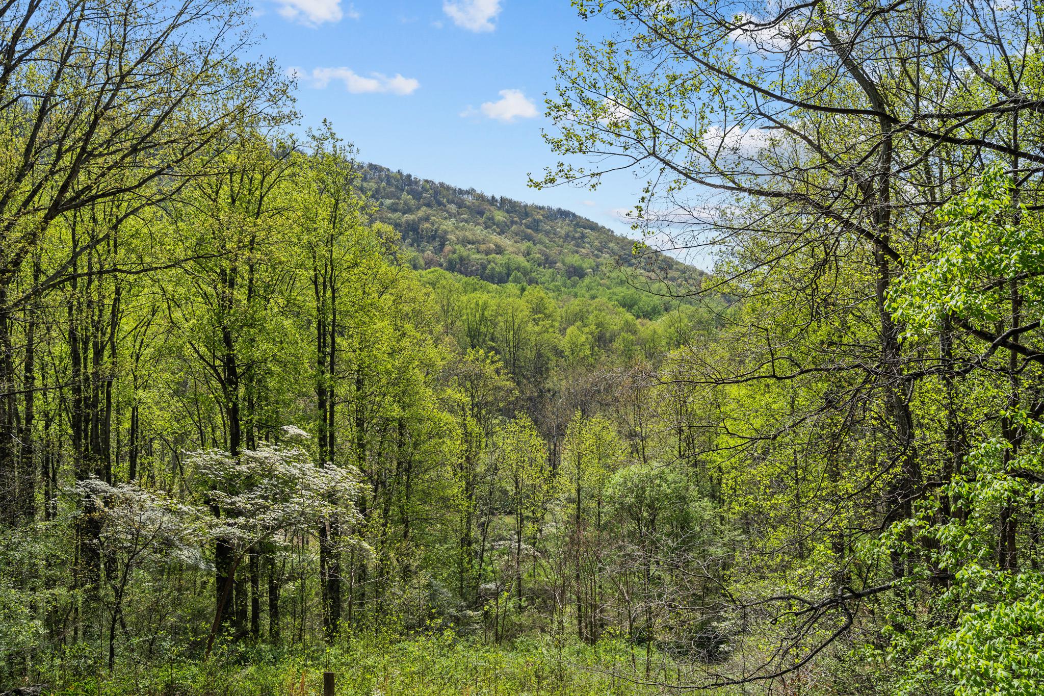 815 GID BROWN HOLLOW RD, WASHINGTON, Virginia, 3 Bedrooms Bedrooms, ,2 BathroomsBathrooms,Residential,815 GID BROWN HOLLOW RD,VARP2002582 MLS # VARP2002582