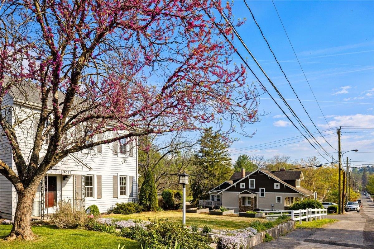 907 SELMA BLVD, STAUNTON, Virginia 24401, 3 Bedrooms Bedrooms, ,2 BathroomsBathrooms,Residential,907 SELMA BLVD,676067 MLS # 676067