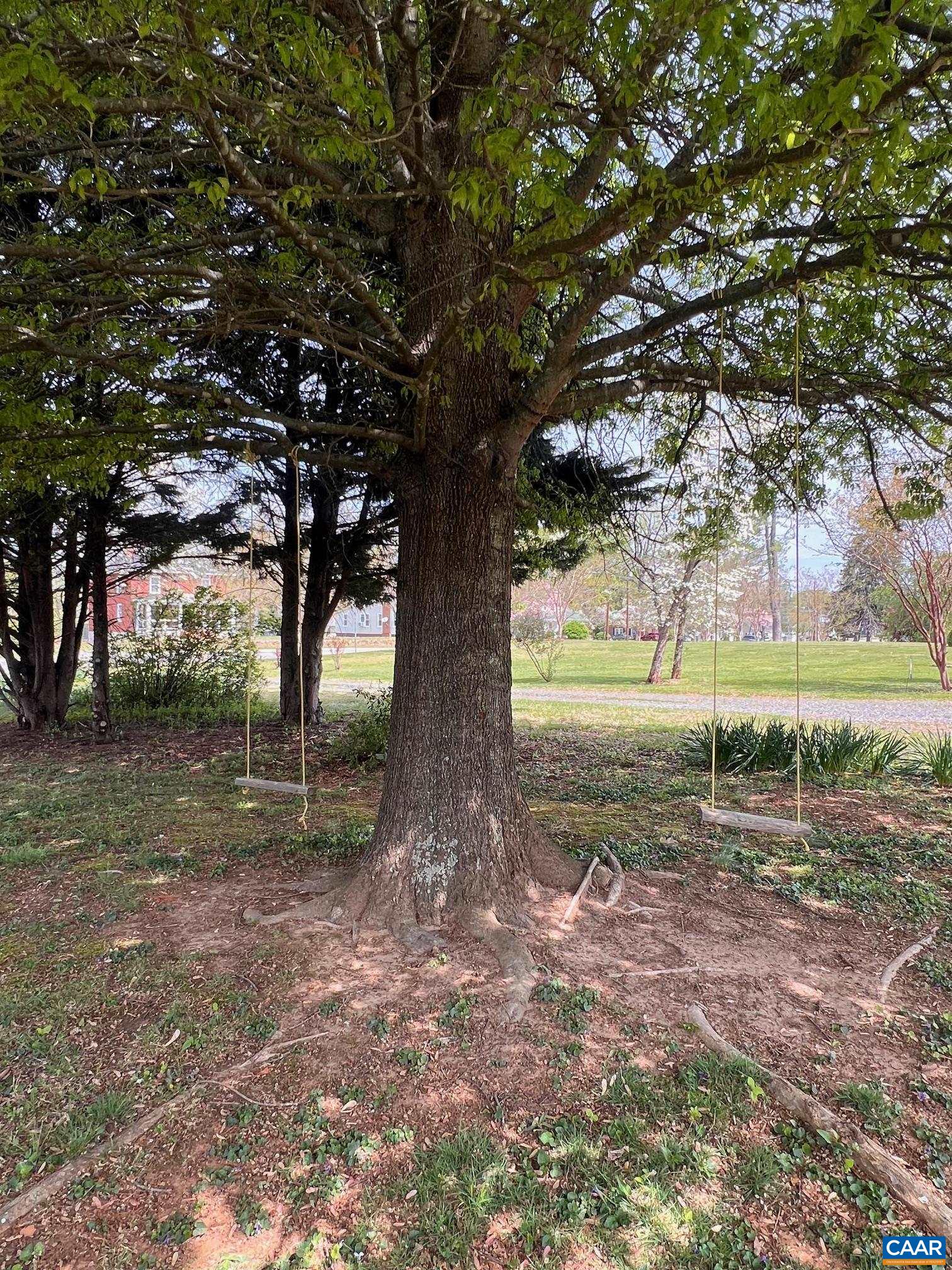 260 N MAIN ST, AMHERST, Virginia 24521, 3 Bedrooms Bedrooms, ,2 BathroomsBathrooms,Residential,260 N MAIN ST,676071 MLS # 676071