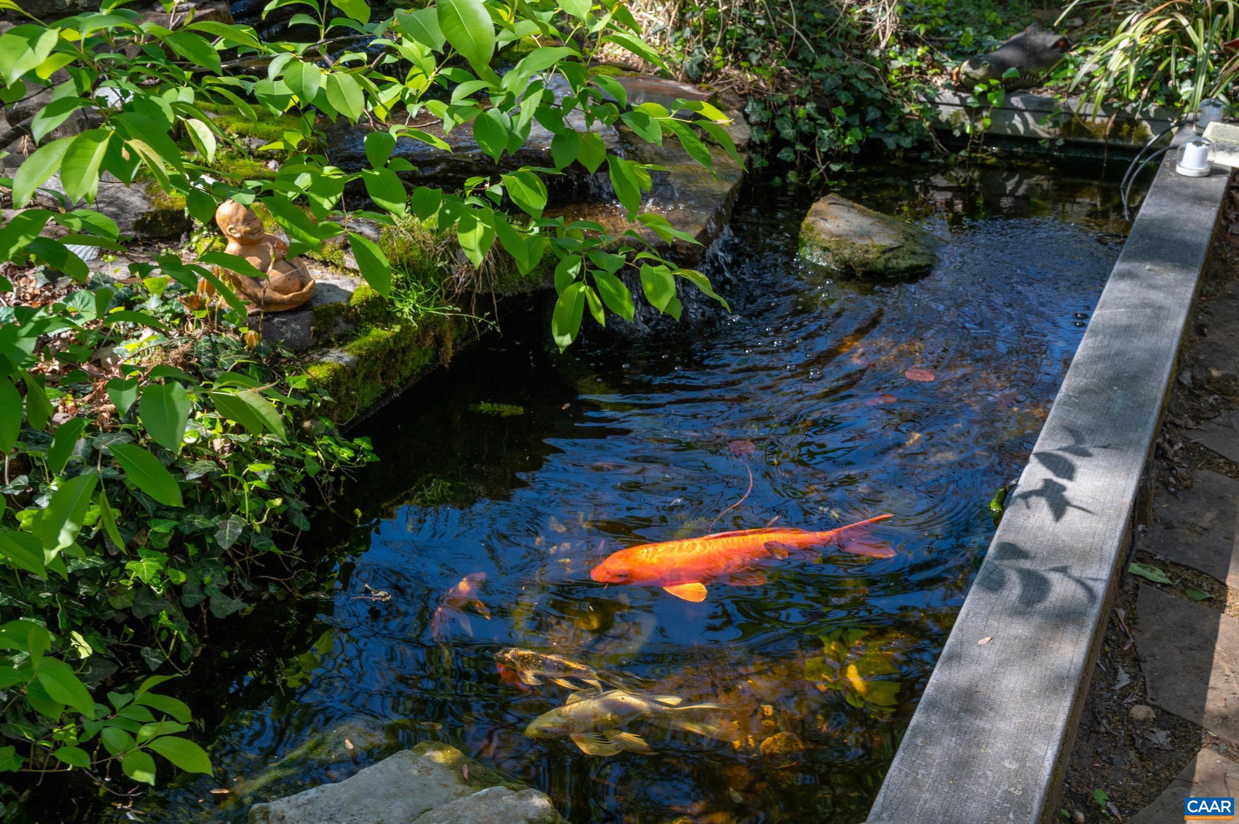 700 GRAVES ST, CHARLOTTESVILLE, Virginia 22902, 3 Bedrooms Bedrooms, ,2 BathroomsBathrooms,Residential,700 GRAVES ST,676078 MLS # 676078