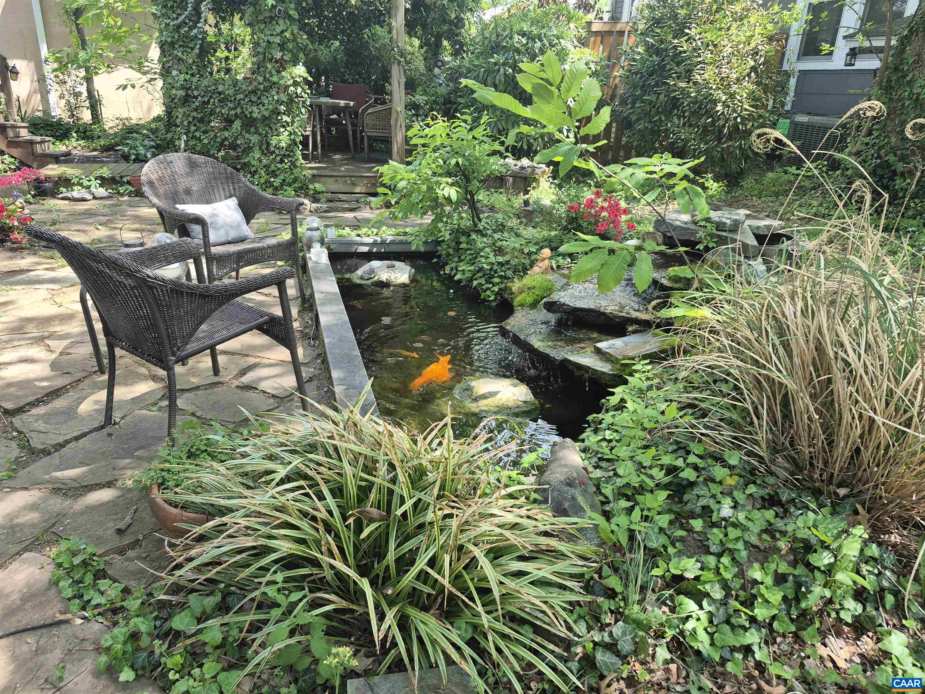 700 GRAVES ST, CHARLOTTESVILLE, Virginia 22902, 3 Bedrooms Bedrooms, ,2 BathroomsBathrooms,Residential,700 GRAVES ST,676078 MLS # 676078