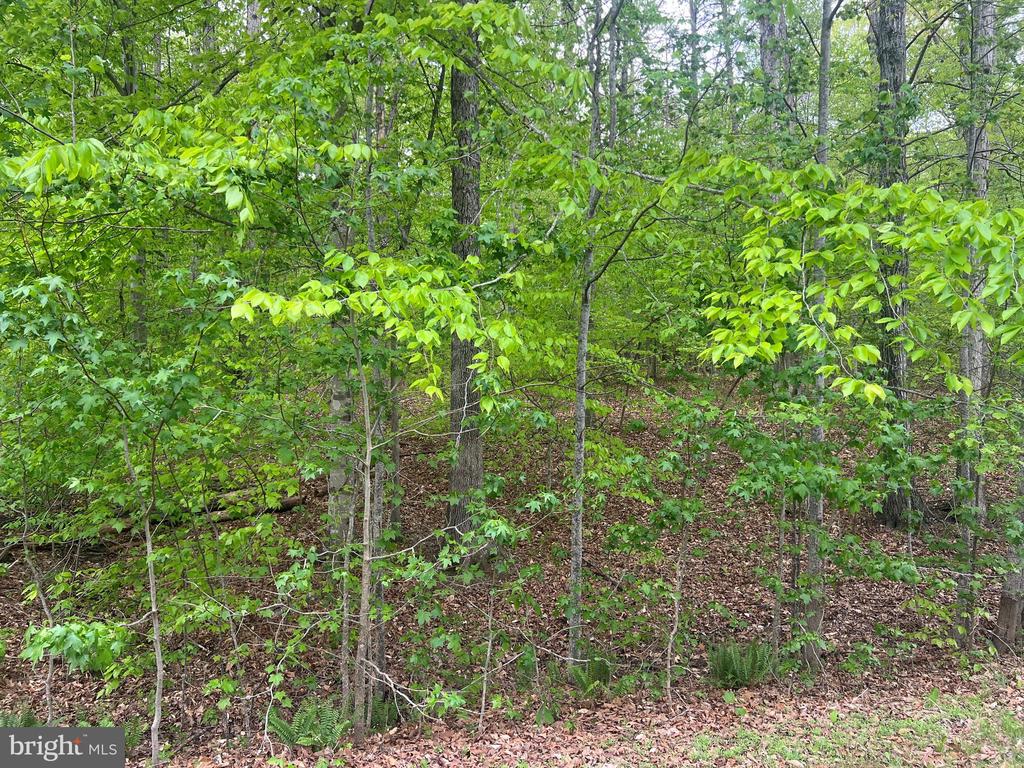 FISHER DRIVE, MINERAL, Virginia 23117, ,Land,FISHER DRIVE,VALA2009664 MLS # VALA2009664