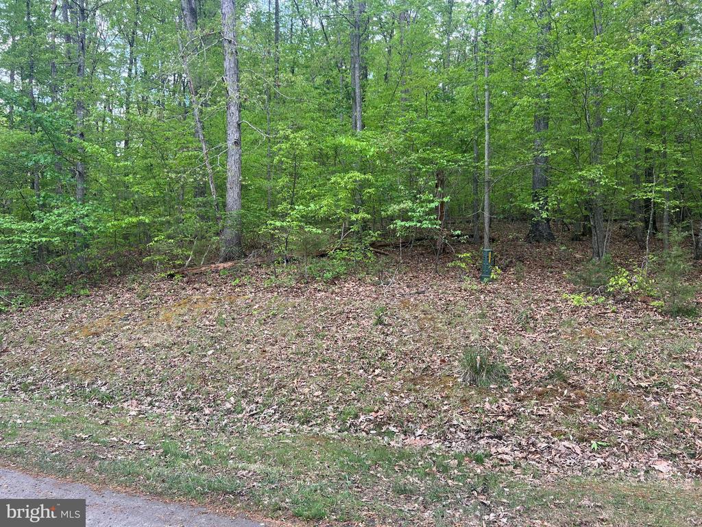 FISHER DRIVE, MINERAL, Virginia 23117, ,Land,FISHER DRIVE,VALA2009664 MLS # VALA2009664