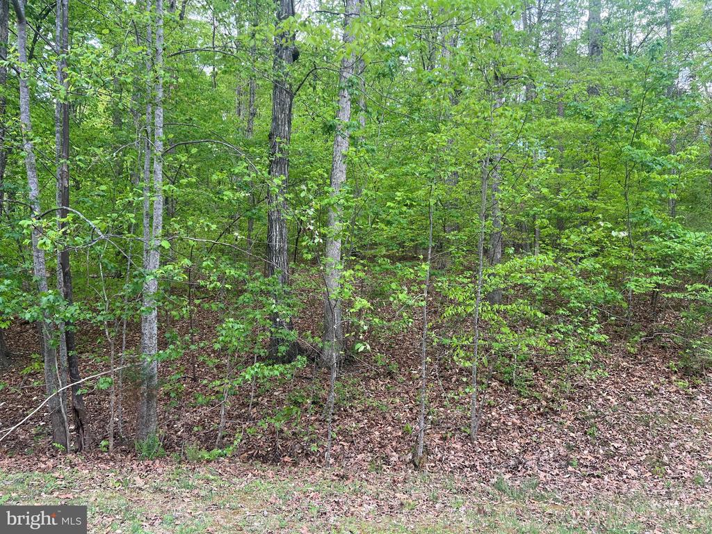 FISHER DRIVE, MINERAL, Virginia 23117, ,Land,FISHER DRIVE,VALA2009664 MLS # VALA2009664