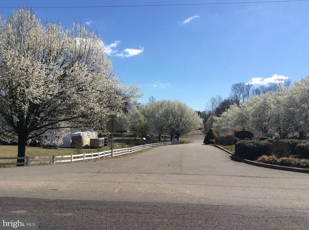 15305 PECAN TREE DR, MINERAL, Virginia 23117, 3 Bedrooms Bedrooms, ,3 BathroomsBathrooms,Residential,15305 PECAN TREE DR,VASP2040946 MLS # VASP2040946