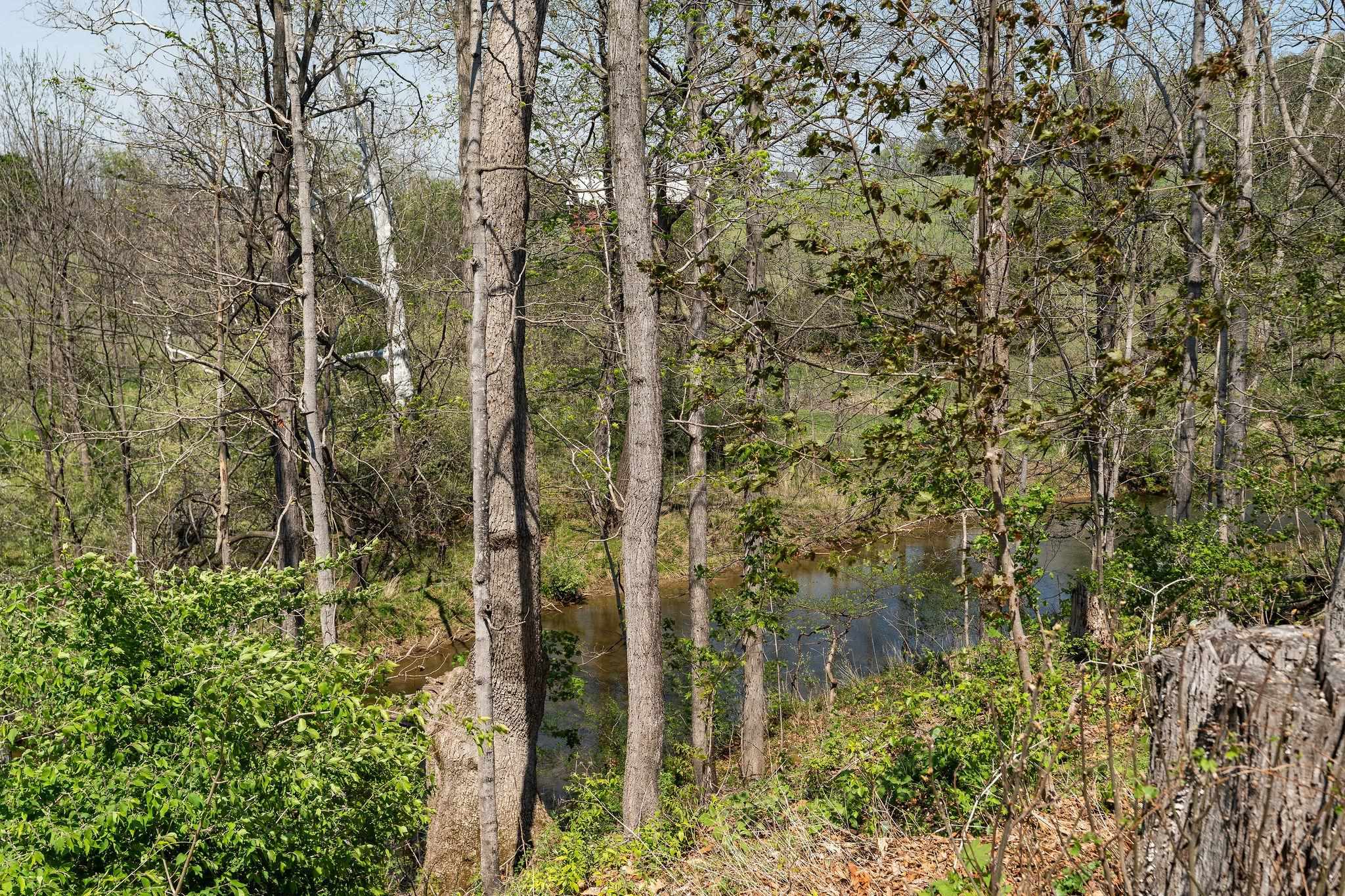 9 HOAGIE LN, SWOOPE, Virginia 24479, 2 Bedrooms Bedrooms, ,1 BathroomBathrooms,Residential,9 HOAGIE LN,676086 MLS # 676086