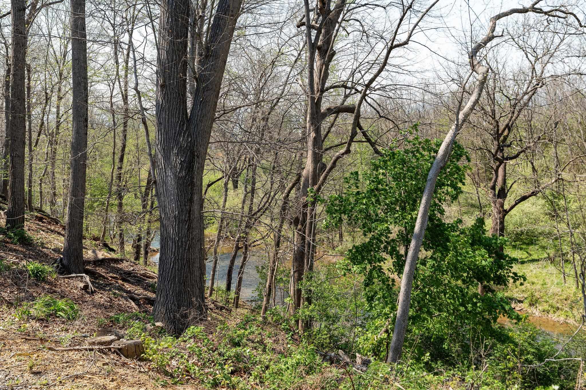 9 HOAGIE LN, SWOOPE, Virginia 24479, 2 Bedrooms Bedrooms, ,1 BathroomBathrooms,Residential,9 HOAGIE LN,676086 MLS # 676086