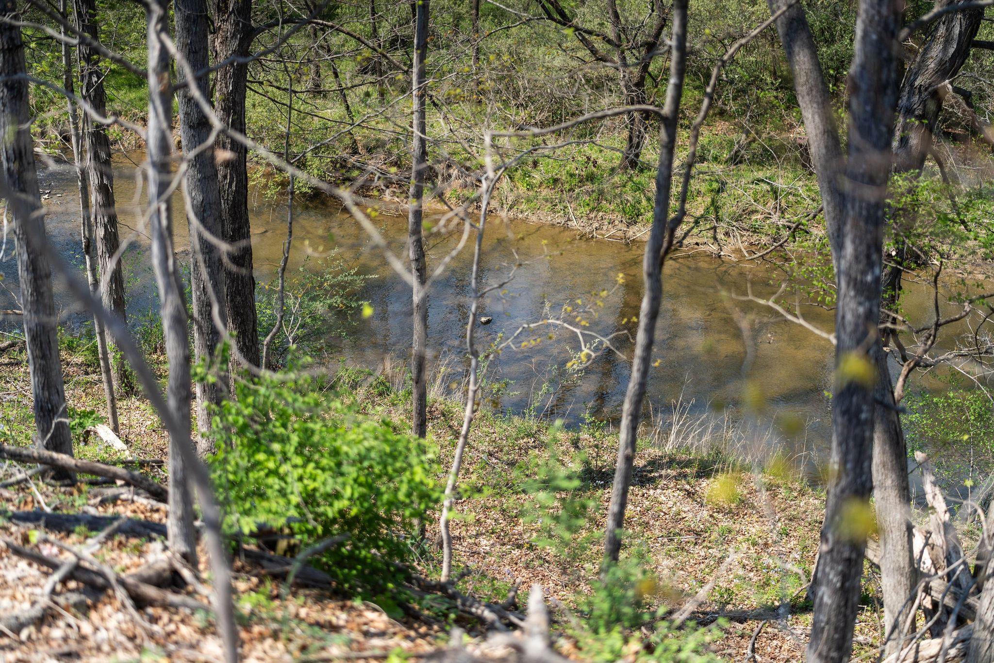 9 HOAGIE LN, SWOOPE, Virginia 24479, 2 Bedrooms Bedrooms, ,1 BathroomBathrooms,Residential,9 HOAGIE LN,676086 MLS # 676086