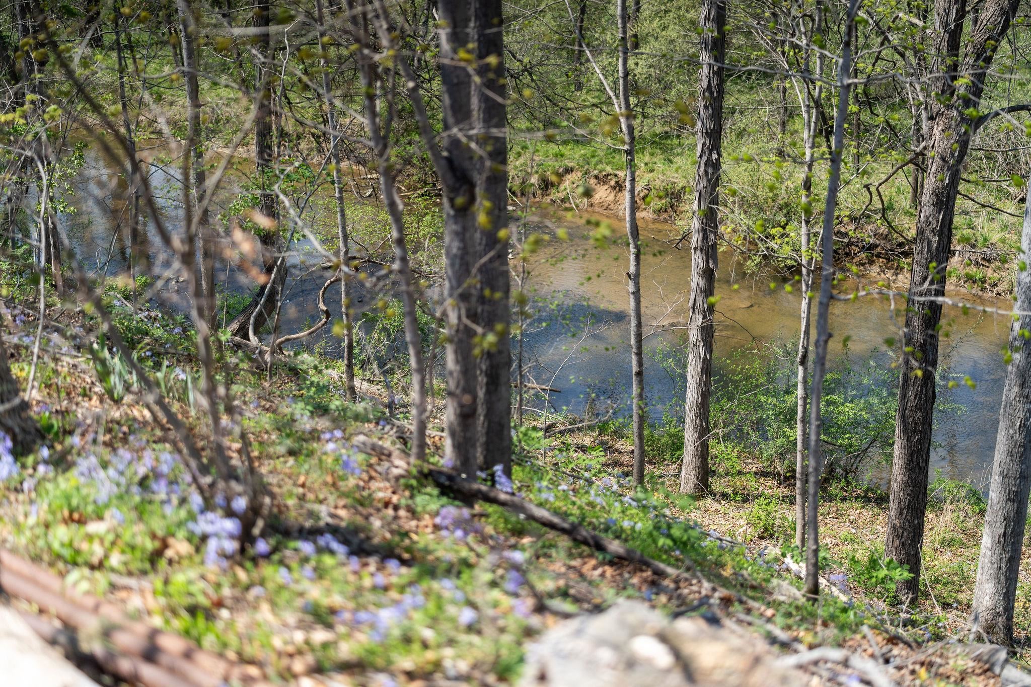 9 HOAGIE LN, SWOOPE, Virginia 24479, 2 Bedrooms Bedrooms, ,1 BathroomBathrooms,Residential,9 HOAGIE LN,676086 MLS # 676086