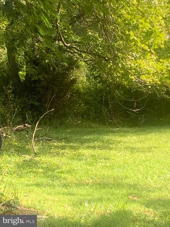 934 SPERRYVILLE, CULPEPER, Virginia 22701, ,Land,934 SPERRYVILLE,VACU2013358 MLS # VACU2013358